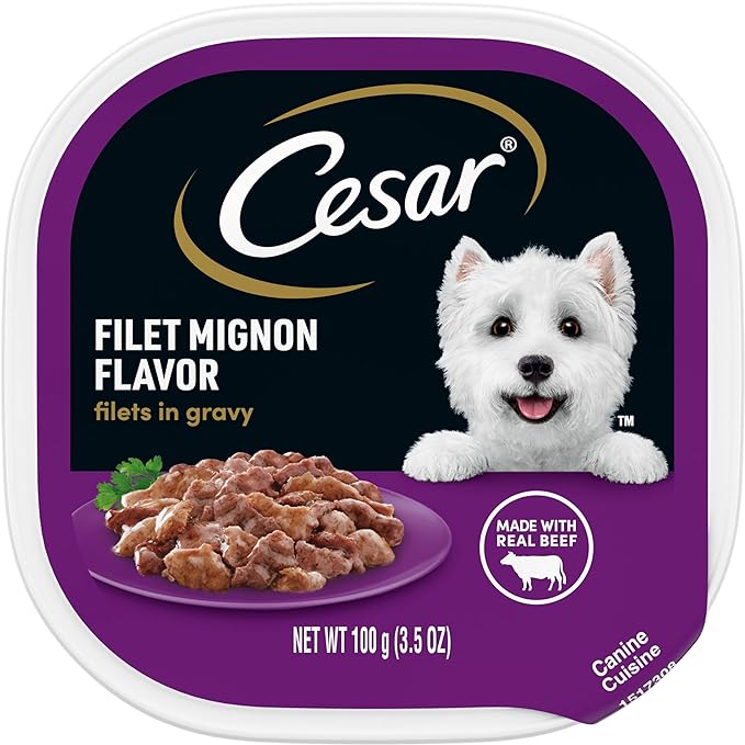 CESAR Adult Soft Wet Dog Food Filets in Gravy, Filet Mignon Flavor, 3.5 oz. Tray