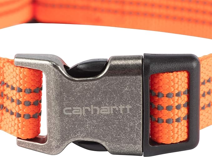 Carhartt Dog Collar Hunter Orange/Brushed Nickel Large