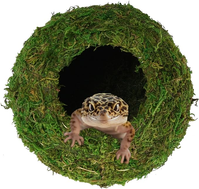 Mossy Caves, Artificial Green Moss Caves Hide for Pet Reptile Frogs and Snakes, Terrarium & Vivarium Decor, Crested Gecko Tank Decor (6" - Woodland Green)