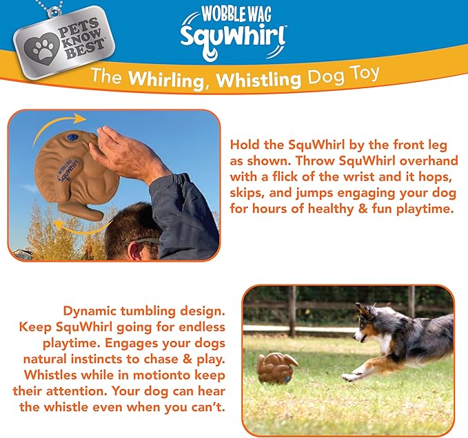 Pets Know Best SquWhirl- The Whirling Whistling Interactive Frisbee Dog Toy, Outdoor Frisbee for Fetch