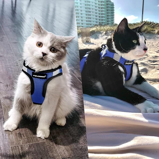 Cat Harness, Cat Leash and Harness Set for Walking Escape Proof, Harness for Small Cats/Small Dogs, Large Kitten/Puppy Harness and Leash, Harness for Cats S-XXL(Royal Blue, Large)