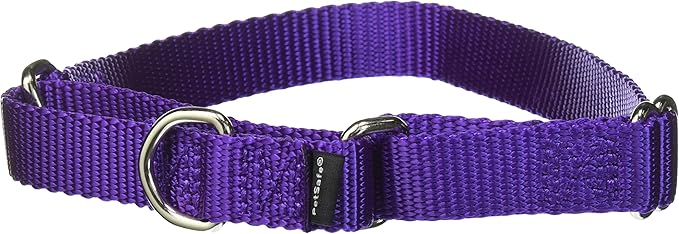 PetSafe Adjustable Martingale Collar - Only Tightens When Dogs Pull, Prevents Slipping Out - Helps with Strong Pullers, Increased Control - Alternative to Choke Collar - 3/4", Medium, Deep Purple