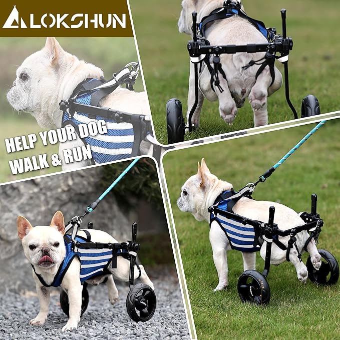 2024 Upgraded Dog Wheelchair for Back Legs Small wheelchair for dogs with Disabled Hind Legs Walking Adjustable Dog Carts with Wheels