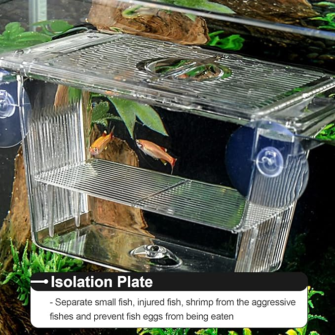 4PCS Fish Breeder Box for Fish Tank, Acrylic Aquarium Fish Isolation Breeding Box with Suction Cups Acclimation Hatchery Incubator for Baby Fishes Guppy Shrimp Clownfish Betta, Medium Size