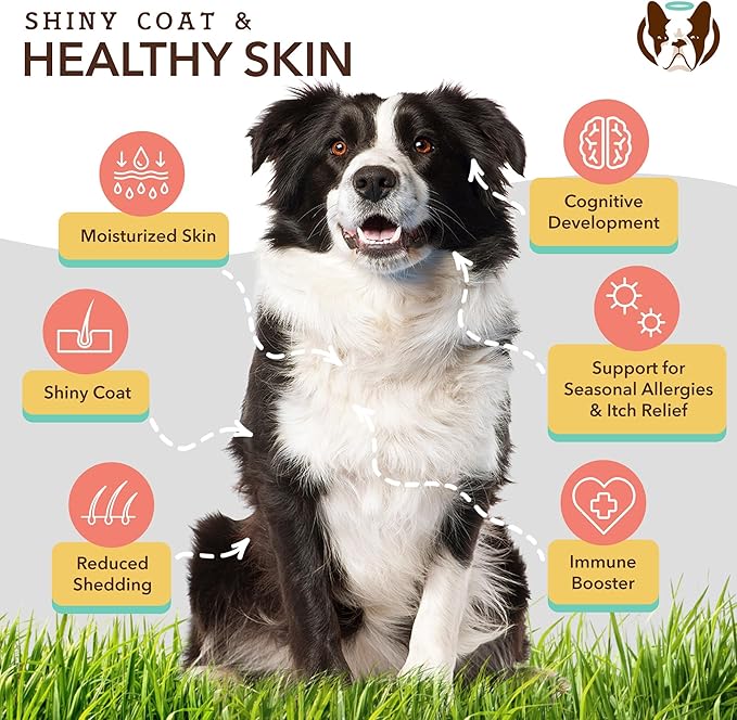 Natural Dog Company Skin & Coat Chews, Salmon & Peas Flavor, Dog Vitamins and Supplements for Healthy Skin & Coat, Itch Relief for Dogs with Allergies, with Biotin, Vitamin E, Omega 3, 180 Count