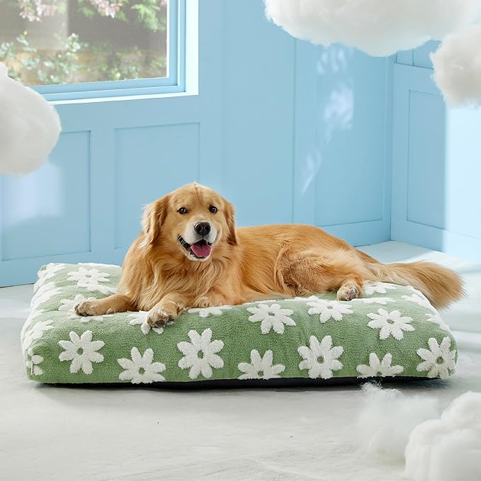 Lesure Extra Large Dog Bed-Thick Shredded Chopped Foam Pet Bed, Dog Bed Indoor with Removable Cover, Cute Modern Fuzzy Plush & Anti Slip Bottom(44x32', Green)