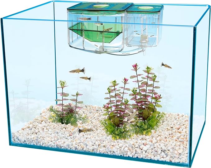 Penn-Plax AN2 Aqua Nursery and Hatchery Breeding Box for Your Aquarium - Help Protect Baby Fish from Predators