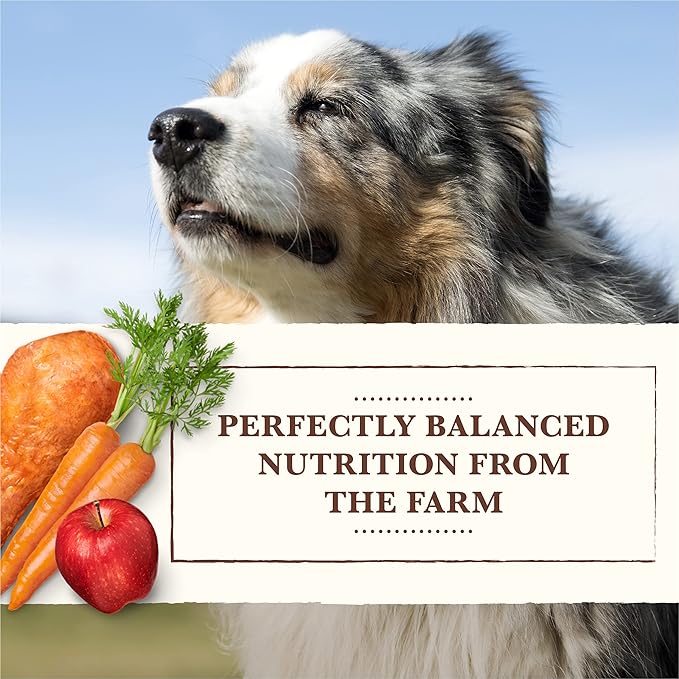Whole Earth Farms Grain Free Chicken and Turkey Recipe Canned Dog Food - 12.7 oz Can