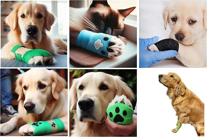 AURPET Self Adhesive Bandage Wrap Strong Vet Tape for Medical Wrap, Best Dog Bandages for Wounds or Dog First Aid Cohesive Bandage wrap Sports wrap Self Stick Bandage wrap (Green)