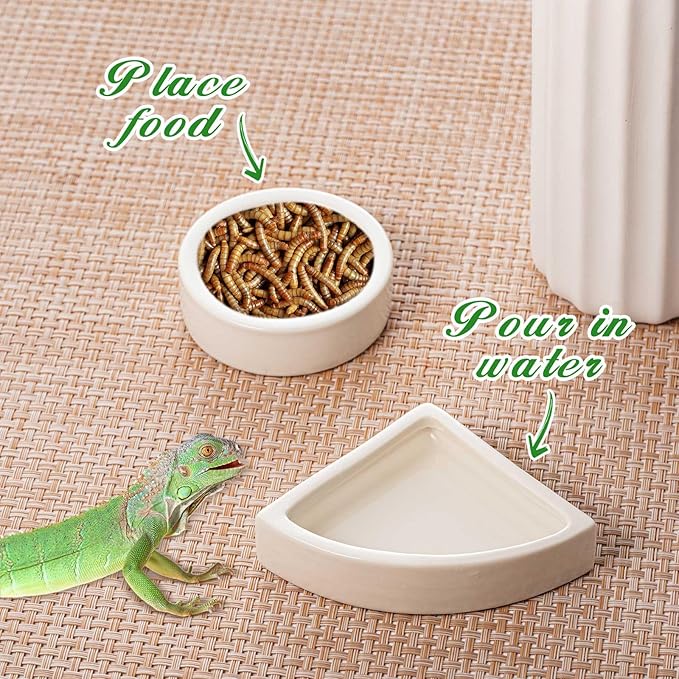 2 Pcs Reptile Feeding Tongs Stainless Steel Long Handle Tweezers Straight and Bent Rubber Tipped Tweezers with 2 Pcs Reptile Food Dish Bowl Terrarium Feeder Tools for Gecko Snake (15'')