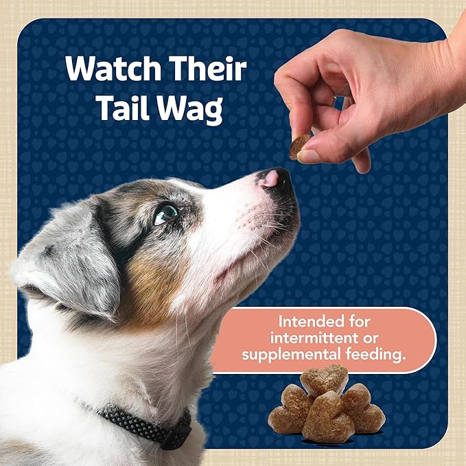 Blue Buffalo Bits Soft Dog Treats for Training, Made with Natural Ingredients & Enhanced with DHA, Savory Salmon Recipe, 4-oz. Bag