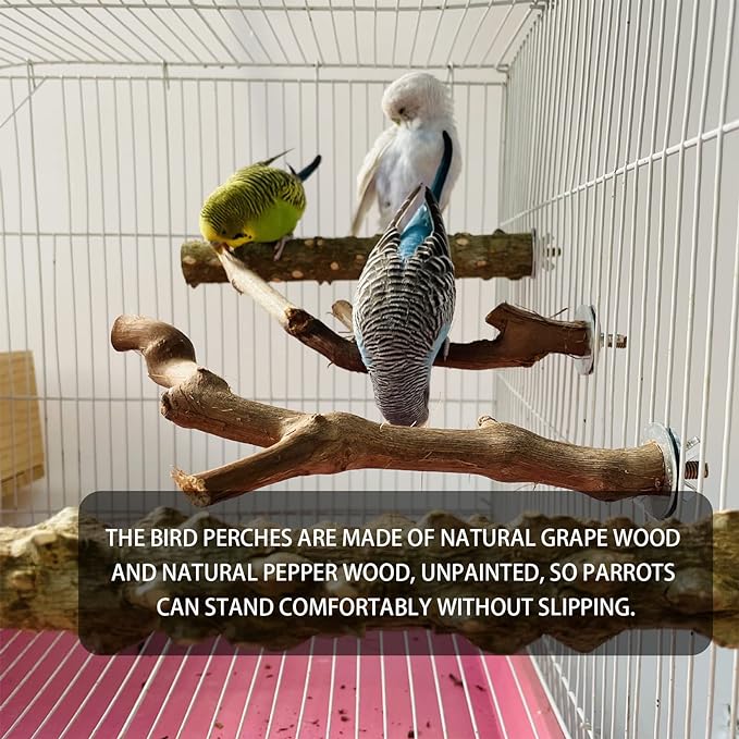 5PCS Bird Perch Stand Natural Wooden Parrot Stand Branch, 3 Grape Wood Perch, 2 Stand, Paw Grinding Fork Parakeet Chewing Stick Exercise Training Branches for Cockatiels, Small Birds