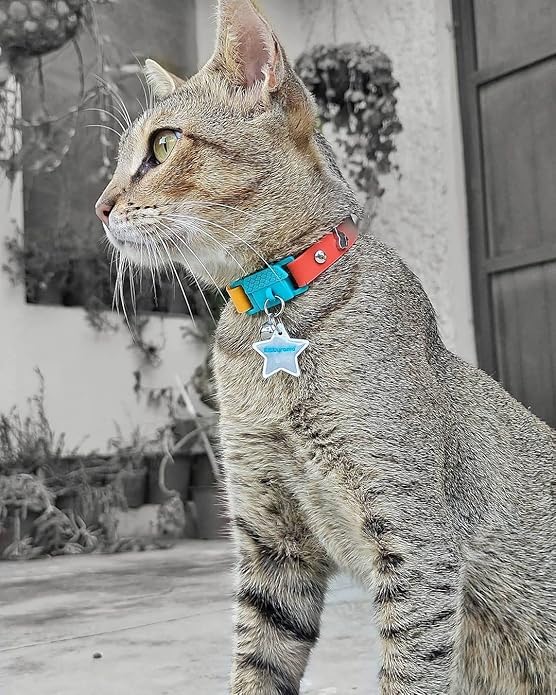 Reflective Cat Charm. Safety Cat Tag. Lightweight, High Visibility, Waterproof. Fits All Reflective Cat Collars. Other Styles Available