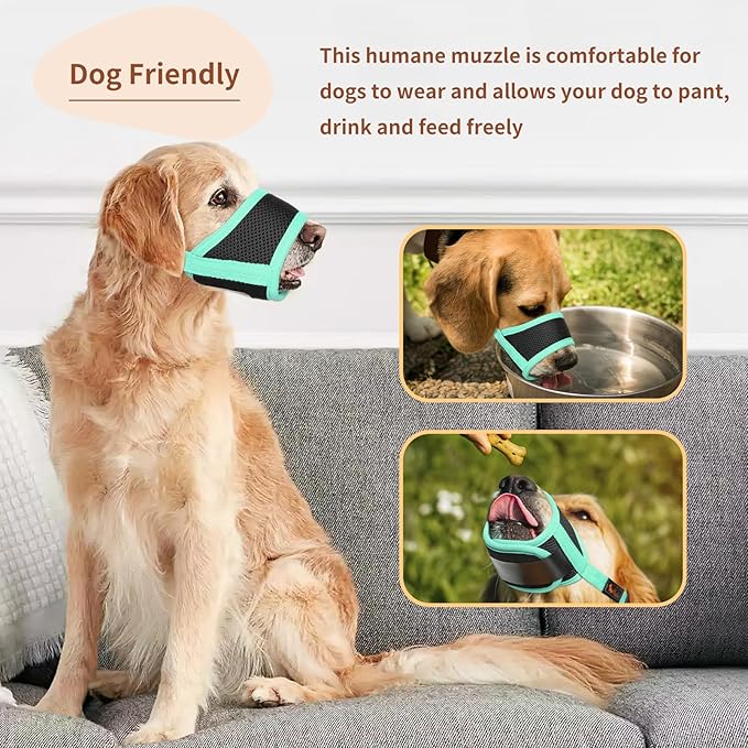 HEELE Dog Muzzle, Soft Mesh Breathable Muzzle with Adjustable Straps for Small Medium Large Dogs, Prevent Biting, Licking and Chewing, Allow Drinking Panting Green X-Large