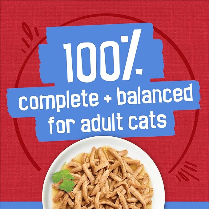 Purina Friskies Gravy Wet Cat Food, Shreds With Beef in Gravy - (Pack of 24) 5.5 oz. Cans