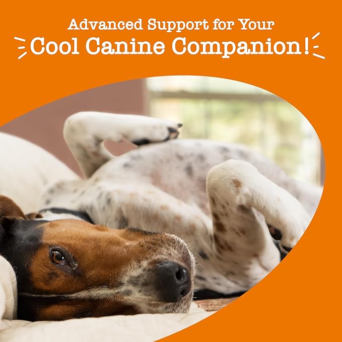 Zesty Paws Calming Chews for Dogs Composure & Relaxation for Everyday Stress & Separation Advanced Melatonin 90 Count