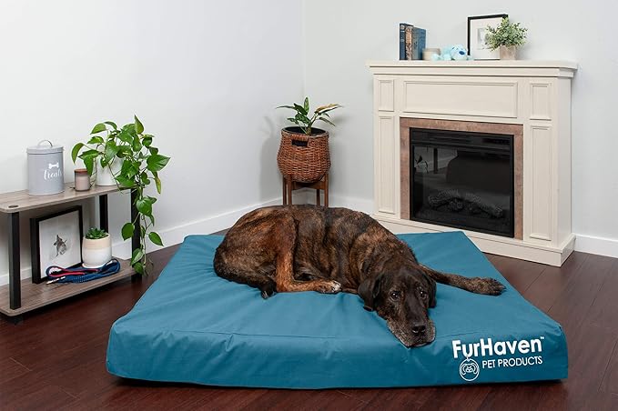 Furhaven Water-Resistant Memory Foam Dog Bed for Large Dogs, Deep Lagoon, Jumbo Plus/XXL, 53"L x 40"W x 5"Th