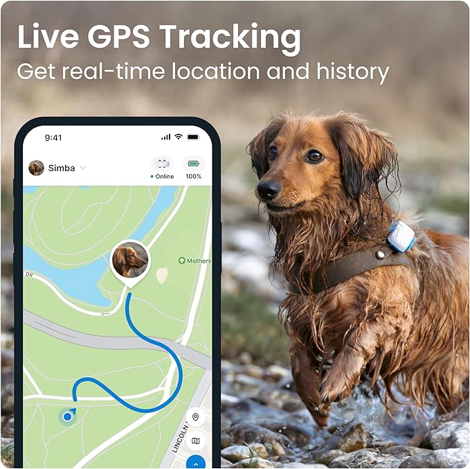 Tractive GPS Tracker for Dogs - Waterproof, GPS Location & Smart Pet Activity Tracker, Unlimited Range, Works with Any Collar (White)