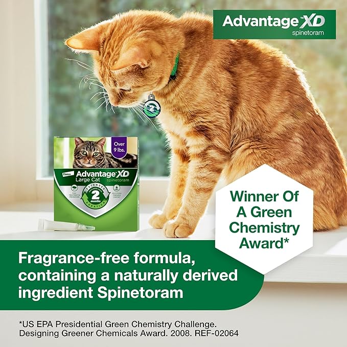 Advantage XD Large Cat Flea Prevention & Treatment For Cats over 9lbs. | 4-Topical Doses, 2-Months of Protection Per Dose