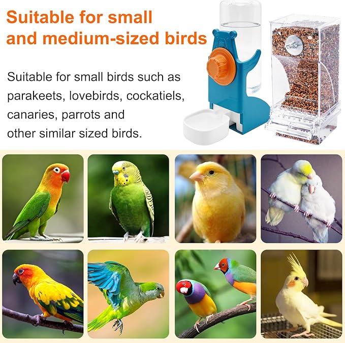 No Mess Bird Feeder with Water Dispenser, Automatic Parrot Feeder Drinker Parakeet Seed Dispenser Food Container with Cage Perch for Lovebirds Conures Budgies Canary Finch (4Pcs)