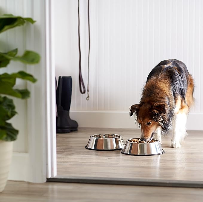 Amazon Basics Stainless Steel Non-Skid Pet Dog Water And Food Bowl, 2-Pack (10 x 2.8 Inches), Each Holds Up to 4 Cups