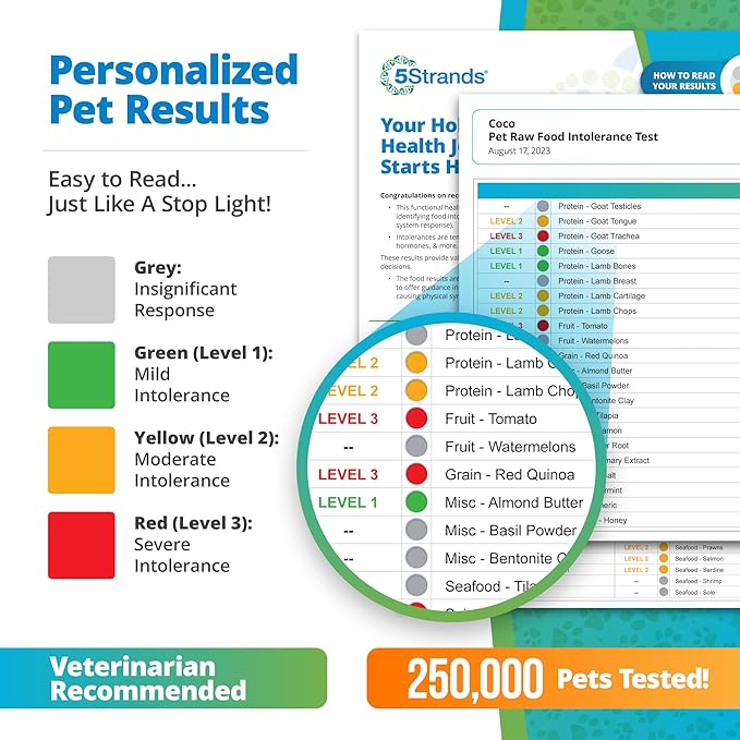 5Strands Pet Raw Food Intolerance Test, at Home Sensitivity Test for Dogs & Cats, 312 Items, Hair Analysis, Accurate for All Ages and Breed, Results in 5 Days - Chicken, Beef, Duck