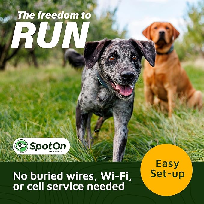 SpotOn Longer Battery Life, GPS Dog Fence, App Based Wireless Dog Fence Collar, Waterproof, Accurate & Reliable GPS Dog Fence System, Virtual Dog GPS Tracker for All Terrain Large/All Carriers