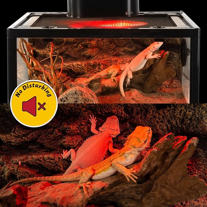 REPTI ZOO 25W Nano Reptile Infrared Heat Lamp 2 Pack,Amphibian Heat Emitter Infrared Basking Spot Light Bulb for Small Geckos,Turtle,Bearded Dragon,Lizard,Tarantulas