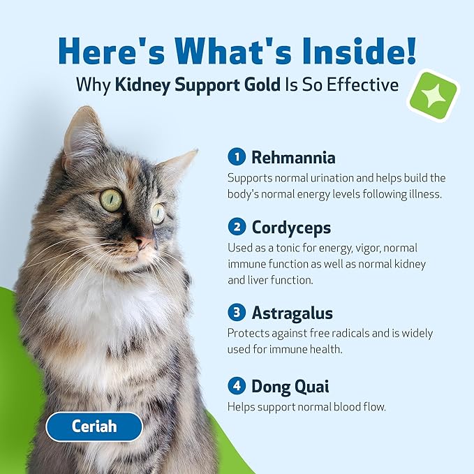 Pet Wellbeing Kidney Support Gold for Cats - Vet-Formulated - Supports Healthy Kidney Function in Cats - Natural Herbal Supplement 2 oz (59 ml)
