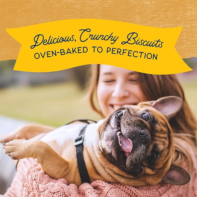 Natural Balance Limited Ingredient Rewards Crunchy Biscuits, Grain-Free Dog Treats for Adult Dogs of All Breeds, Duck Recipe, 28 Ounce (Pack of 1)