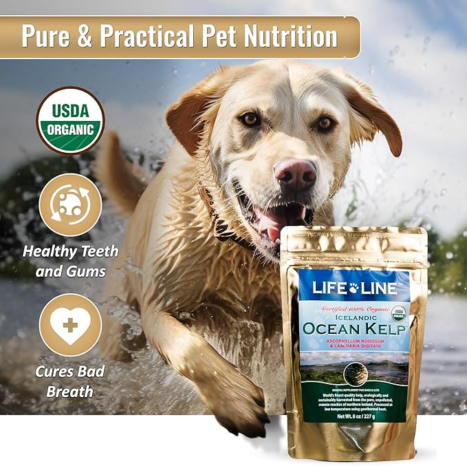 Life Line Pet Nutrition Organic Ocean Kelp Supplement for Skin & Coat, Digestion in Dogs & Cats, 8oz (20200)