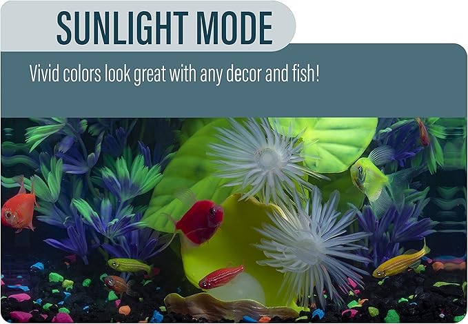 GloFish Betta Aquarium Kit 3 Gallons, Includes LED Lighting And Filter