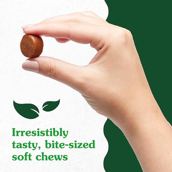 Greenies Supplements Hip and Joint Supplements for Dogs, Chicken Flavor, 30 Count Soft Chews Dog Joint Supplements, 6.08 oz.