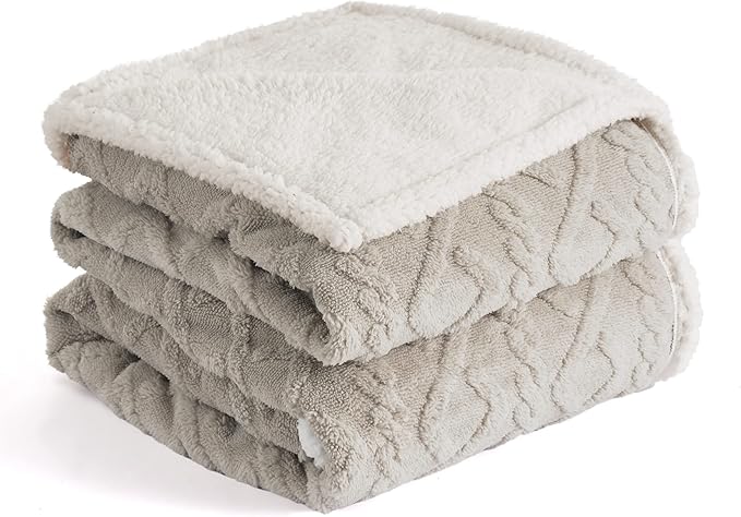 Bedsure Waterproof Dog Blanket for Large Dogs - Pet Blanket for Bed Couch Protector Washable, Premium Jacquard Coral Fleece Cat Throw Blanket, Soft Plush Reversible Furniture Protection, 60x80, Taupe