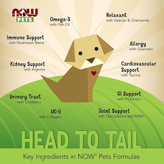 NOW Pet Health, L-Lysine Supplement, Powder, Formulated for Cats, NASC Certified, 8-Ounce