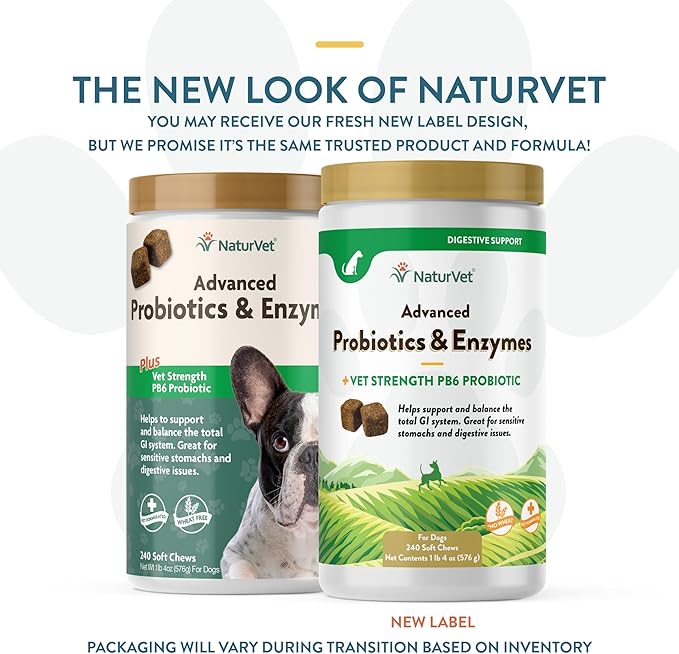 NaturVet – Advanced Probiotics & Enzymes - Plus Vet Strength PB6 Probiotic – Supports and Balances Pets with Sensitive Stomachs & Digestive Issues – for Dogs & Cats 240 ct