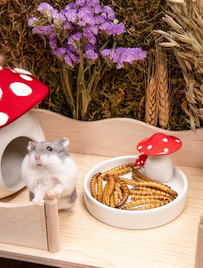 Niteangel Small Animal Snack & Treats Toy - Small Critter Natural Treat for Dwarf Syrian Robo Hamsters Gerbils Mice Lemmings Sugar Glider Hedgehogs Chickens Birds or Other Small-Sized Pets