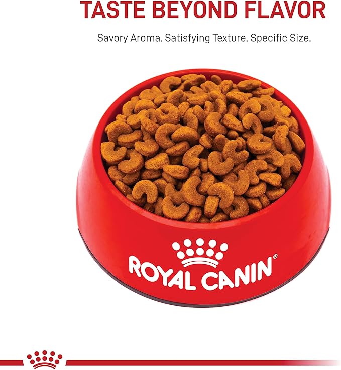 Royal Canin French Bulldog Puppy Dry Dog Food, 3 lb bag