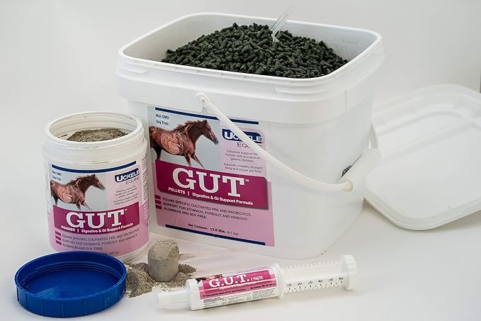 Uckele Gut Pellets Horse Supplement - Equine Vitamin & Mineral Supplement for Healthy Digestion - 2.7 pound (lb)