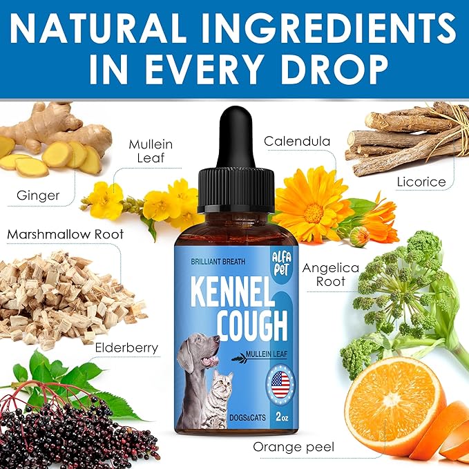 Dog Cough - Kennel Cough - Dog Allergy Relief - Supplements for Dogs & Cats Health - Allergy Relief Immune Supplement for Dogs - for Dry, Wet & Barkly