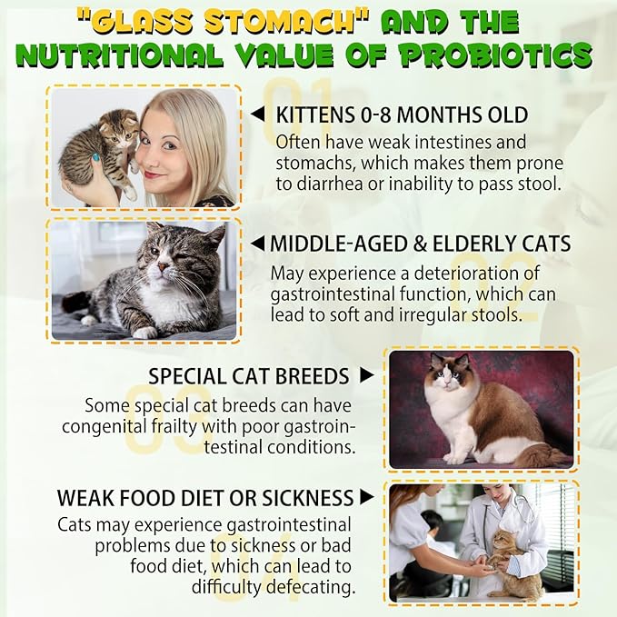 Cat Constipation Relief, Cat Constipation Drops for Cats Constipation Relief - Pet Herbal Supplements for Cats Laxative Constipation Relief, Chicken Flavour - 4 Fl Oz / 2 Pack