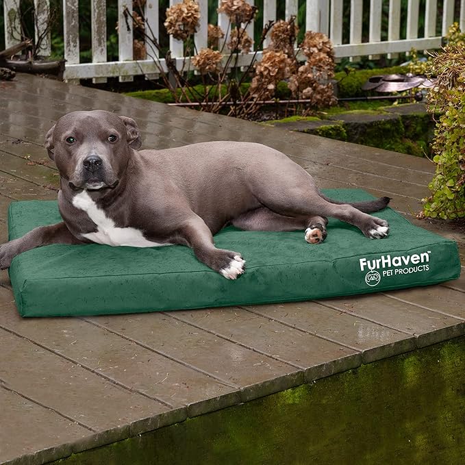 Furhaven Water-Resistant Memory Foam Dog Bed for Large/Medium Dogs w/ Removable Washable Cover, For Dogs Up to 55 lbs - Indoor/Outdoor Logo Print Oxford Polycanvas Mattress - Forest, Large