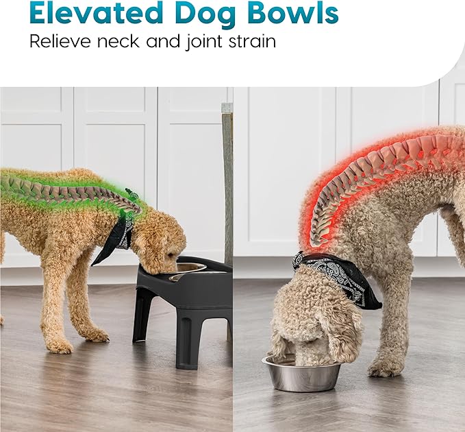 IRIS USA Elevated Dog Bowls, Adjustable Height, 2 Thick 64 oz Stainless Steel Bowls, Spill-Proof with Raised Outer Rim, Durable Made in USA Plastic, Easy Assemble, 2 Heights 4.63" or 12.25" Black