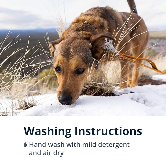 Ruffwear, Roamer Bungee Dog Leash for Running, Biking or Hiking, Can be Used Hand-Held or Hands-Free, River Rock Green, 7.3'-11'