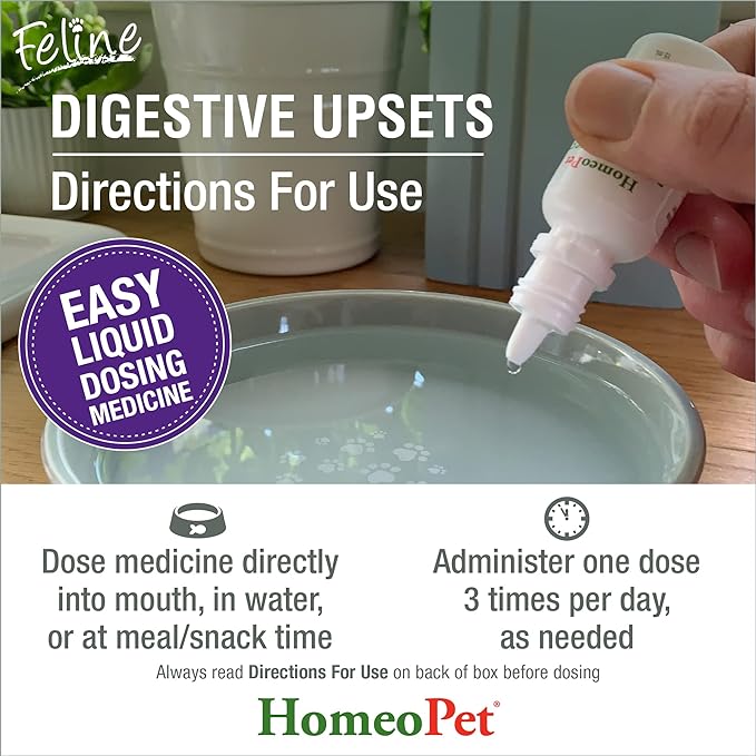 HomeoPet Feline Digestive Upsets, Natural Pet Digestive Support for Cats and Kittens, Safe and Natural Cat or Dog Medicine, 15 Milliliters