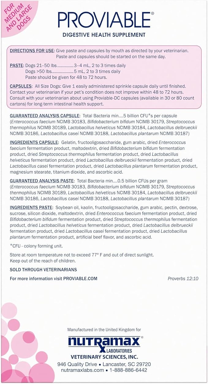 Nutramax Proviable Digestive Health Supplement Kit with Multi-Strain Probiotics and Prebiotics for Medium to Large Dogs - with 7 Strains of Bacteria, 30 mL Paste and 10 Capsules