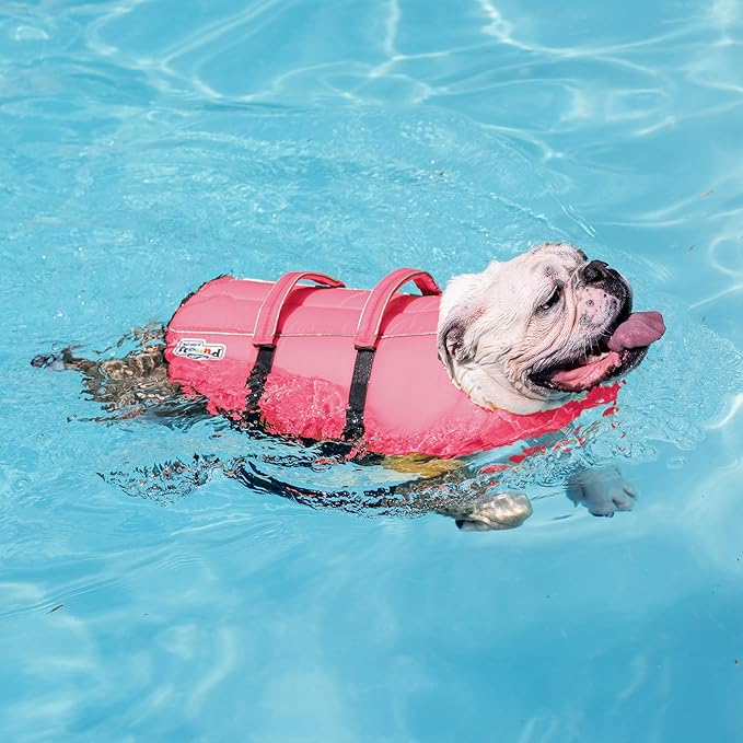 Outward Hound Granby Splash Pink Dog Life Jacket, XS