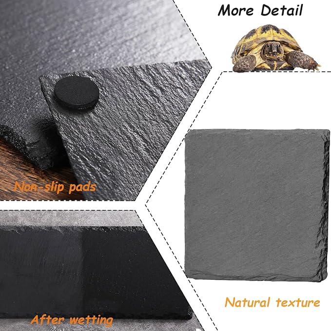 Reptile Basking Platform 2Pcs Tortoise Rock Plate Slate Feeding Platform Food Dish Bowl Turtle Bathing Rock Rest Terrace for Chameleon Lizard Bearded Dragon Gecko Snake Frog Newt (9.8''/25CM)