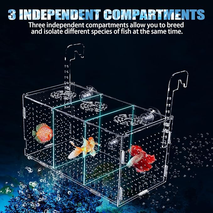 Fish Breeding Box, Acrylic Fish Isolation Box,Fish Separator for Aquarium, Aquarium Incubator with Suction Cups for Newborn Fry Shrimp Guppy Clownfish Aggressive Fish(11.5" x 6" x 6")