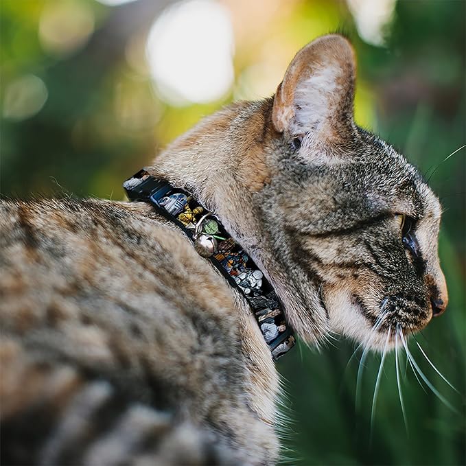 Star Wars Cat Collar, Breakaway Collar with Bell, Star Wars Classic Character Poses Black, 8.5 to 12 Inches 0.5 Inch Wide